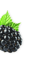 black-berri