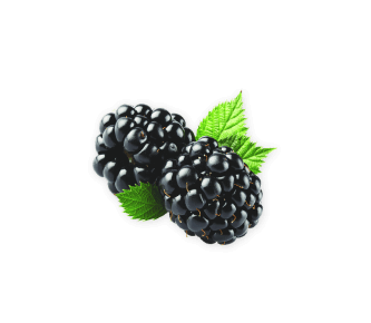 black-berris-bunch